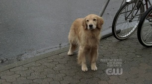 Mystery Spot Pictures - Supernatural Fan Site Mystery Spot Pictures - Supernatural Fan Site